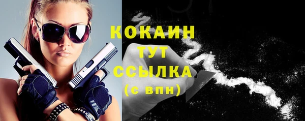 шишки Богородск