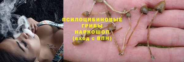 шишки Богородск