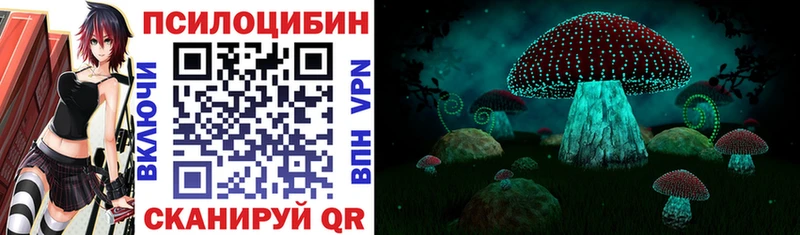 Купить закладки  Спасск  Псилоцибиновые грибы MAGIC MUSHROOMS 